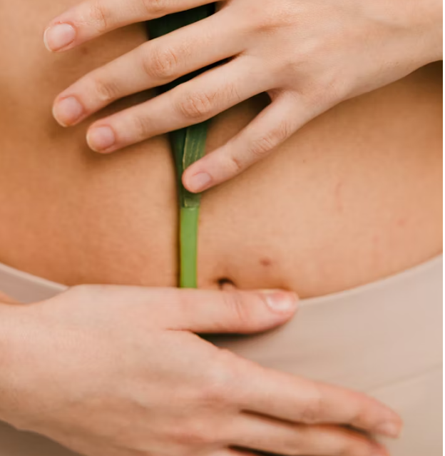 What to Eat on a SIBO Protocol: The Research on Low-FODMAP