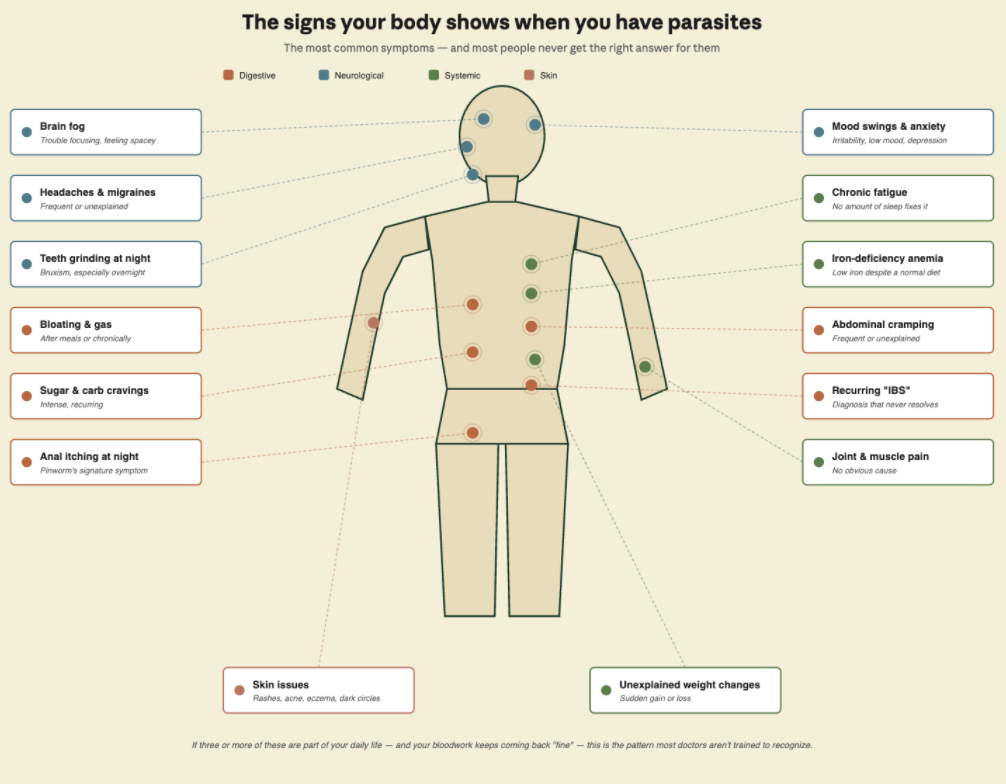 How to Know If You Have Parasites — and Why Most Tests Won't Tell You