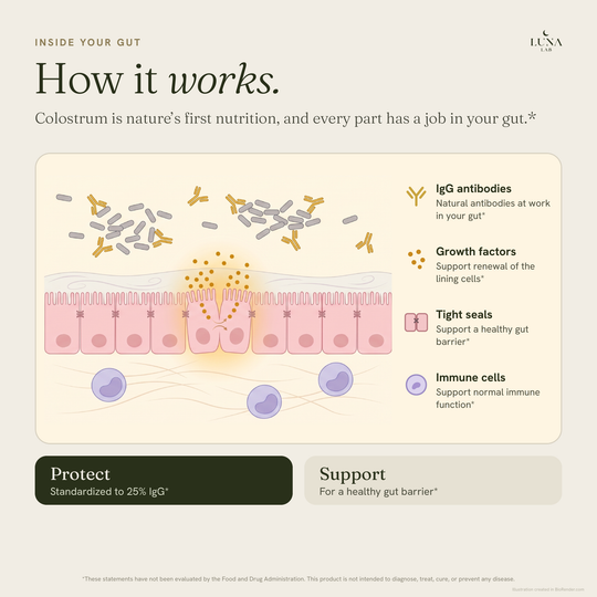 Colostrum | Natural Antibodies for Your Gut Barrier