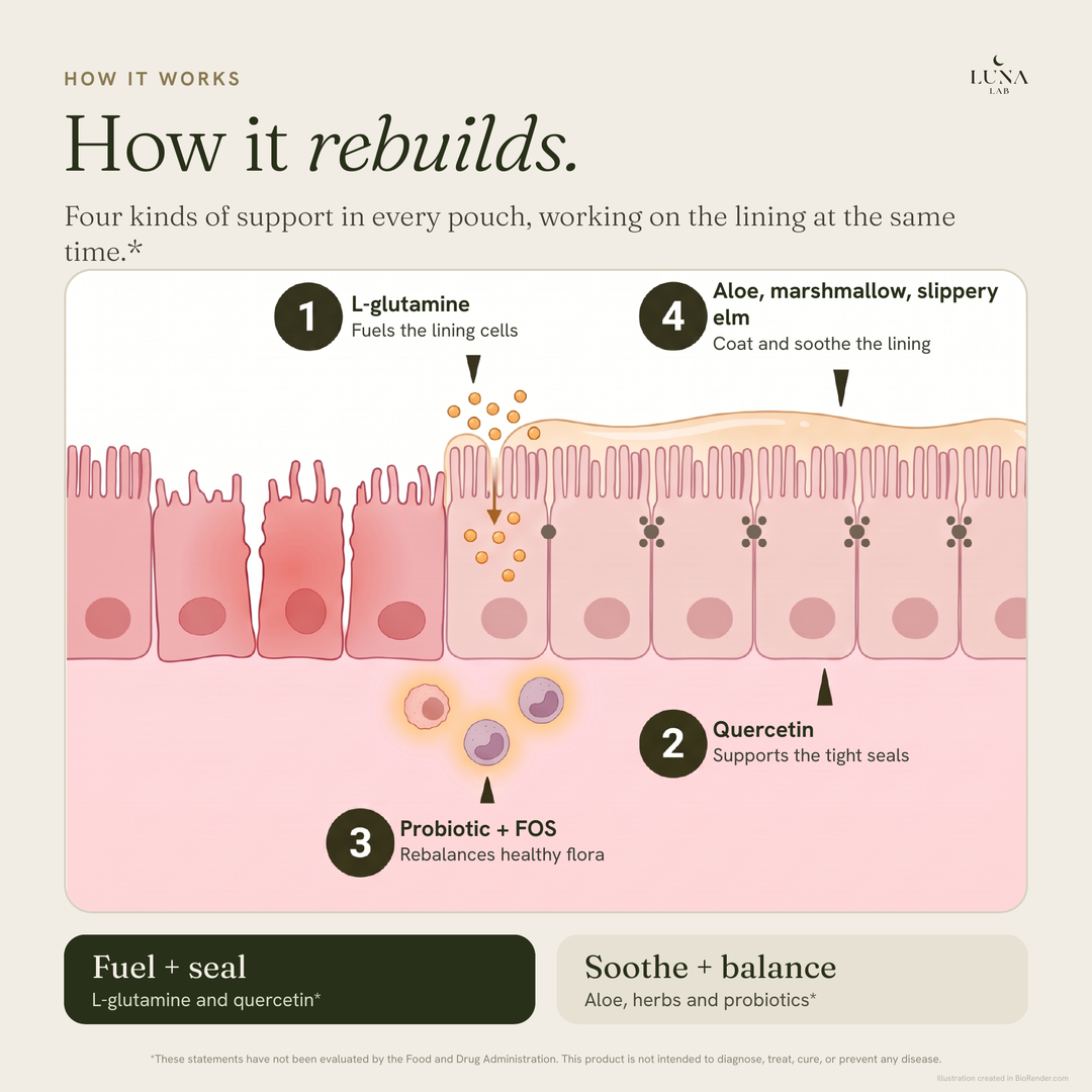 Gut Lining Reset