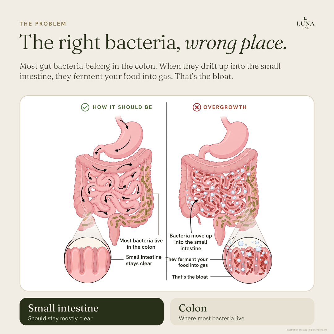 Microbiome Balance Formula