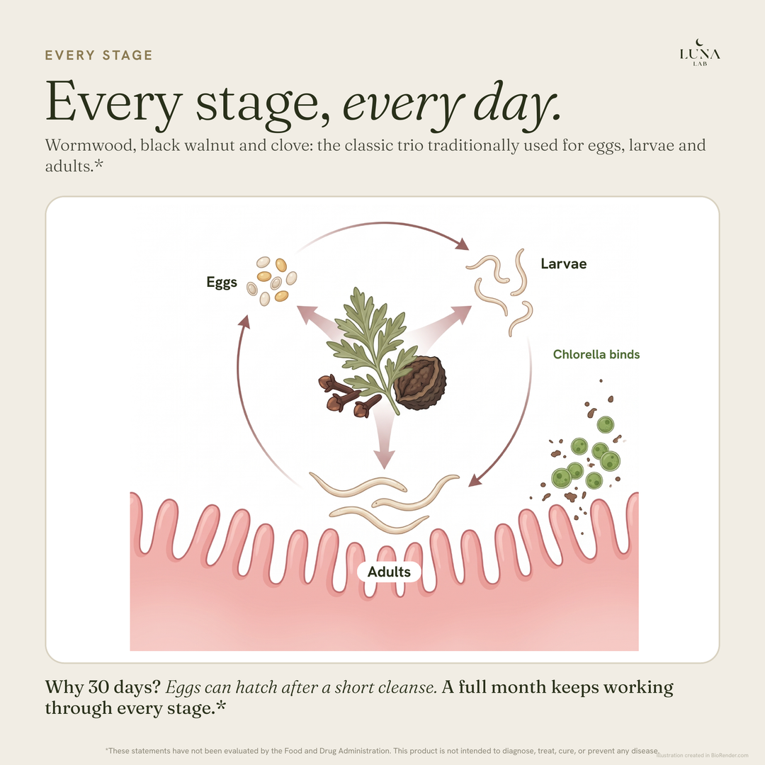 Herbal Cleanse Formula