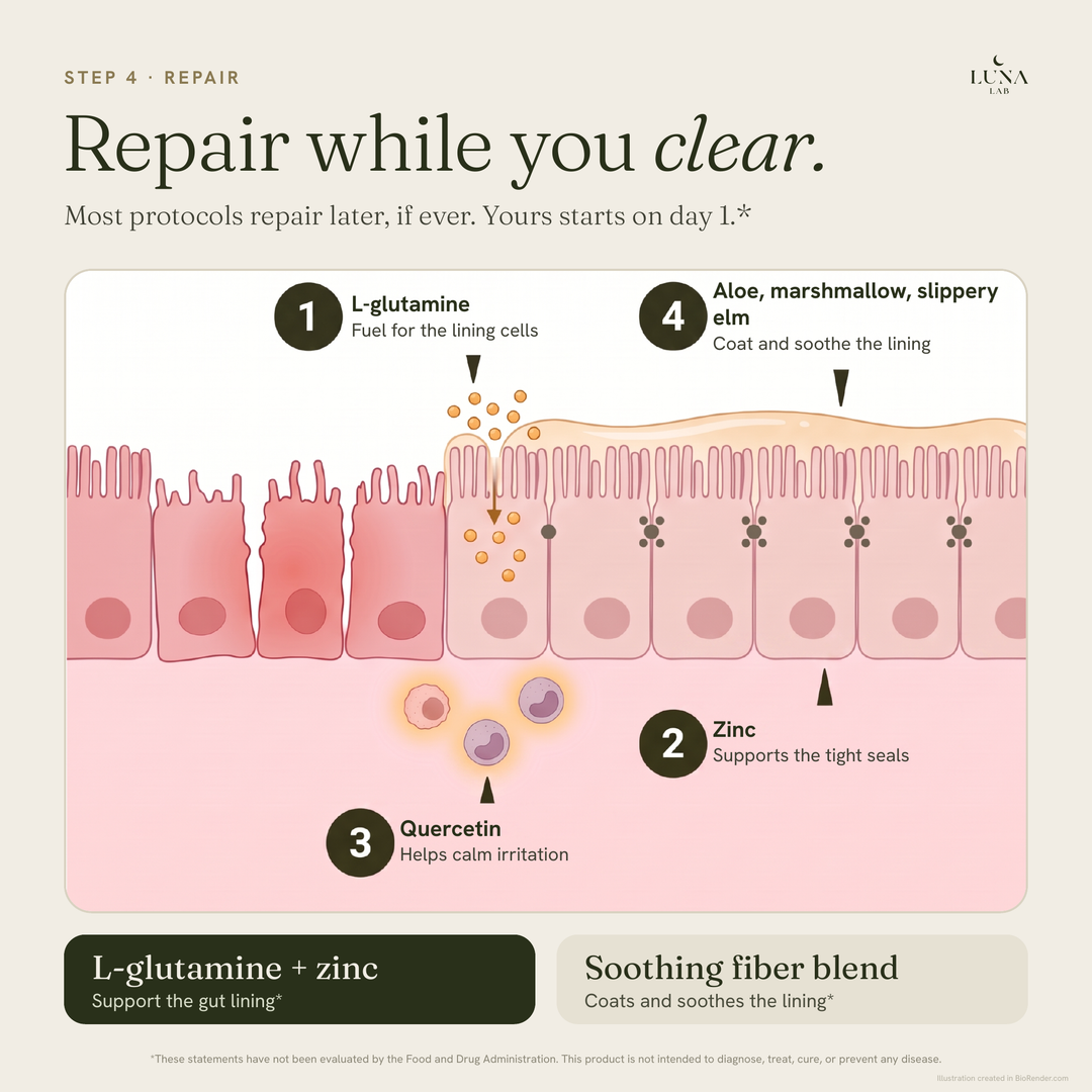 Microbiome Balance Formula