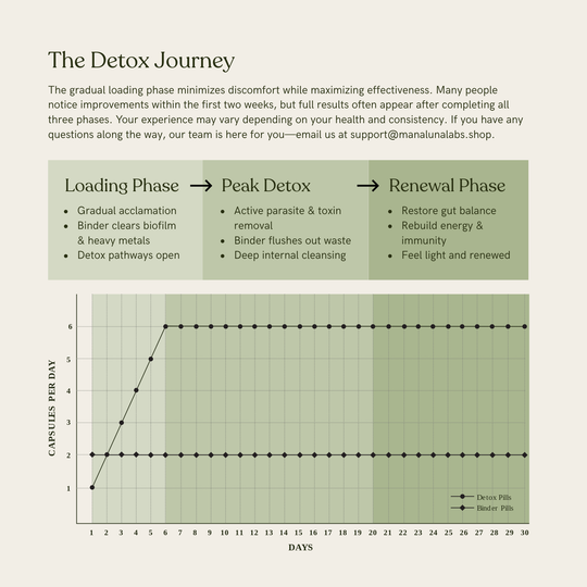 Herbal Detox Formula