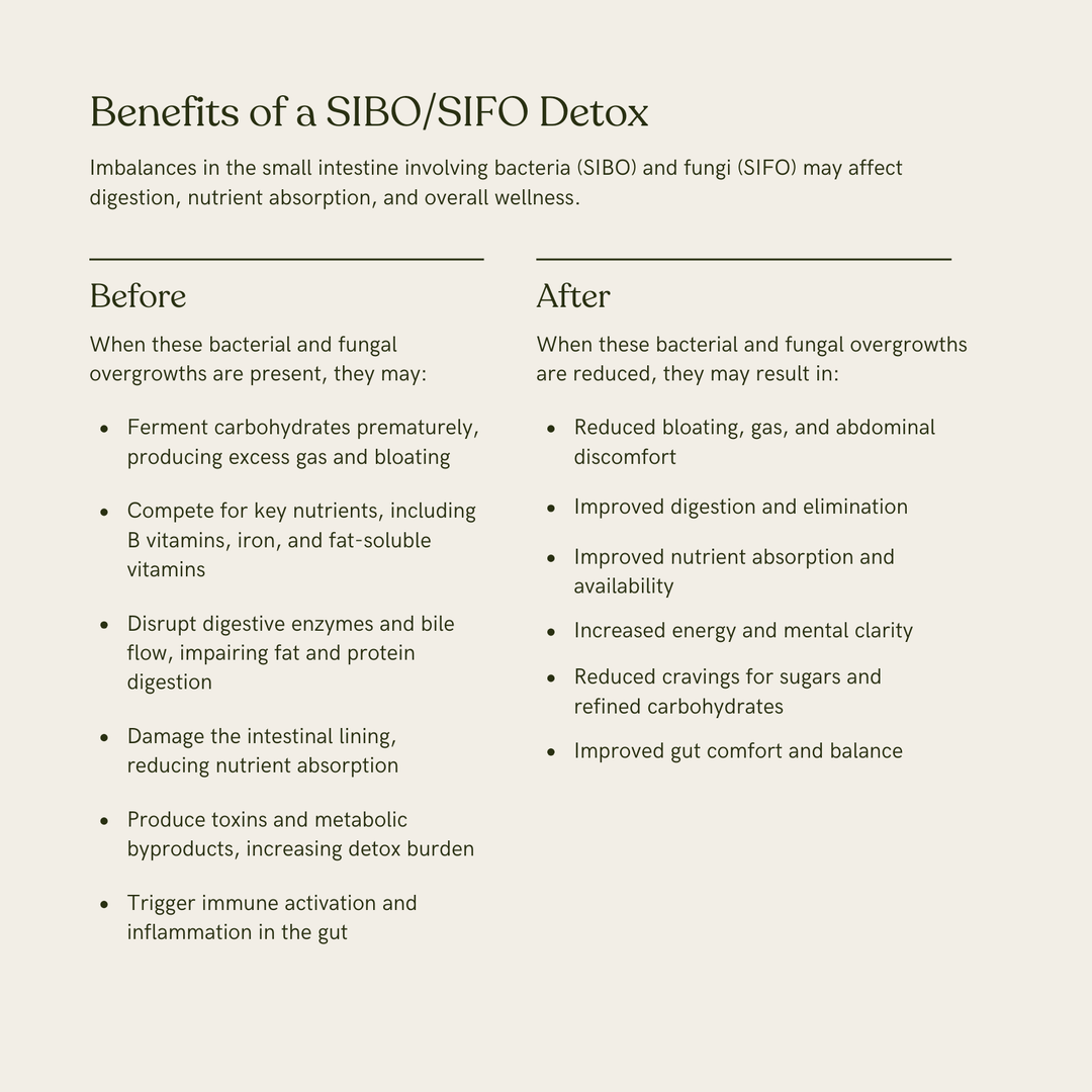 Microbiome Balance Formula