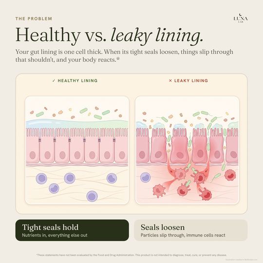 Healthy vs. leaky gut lining