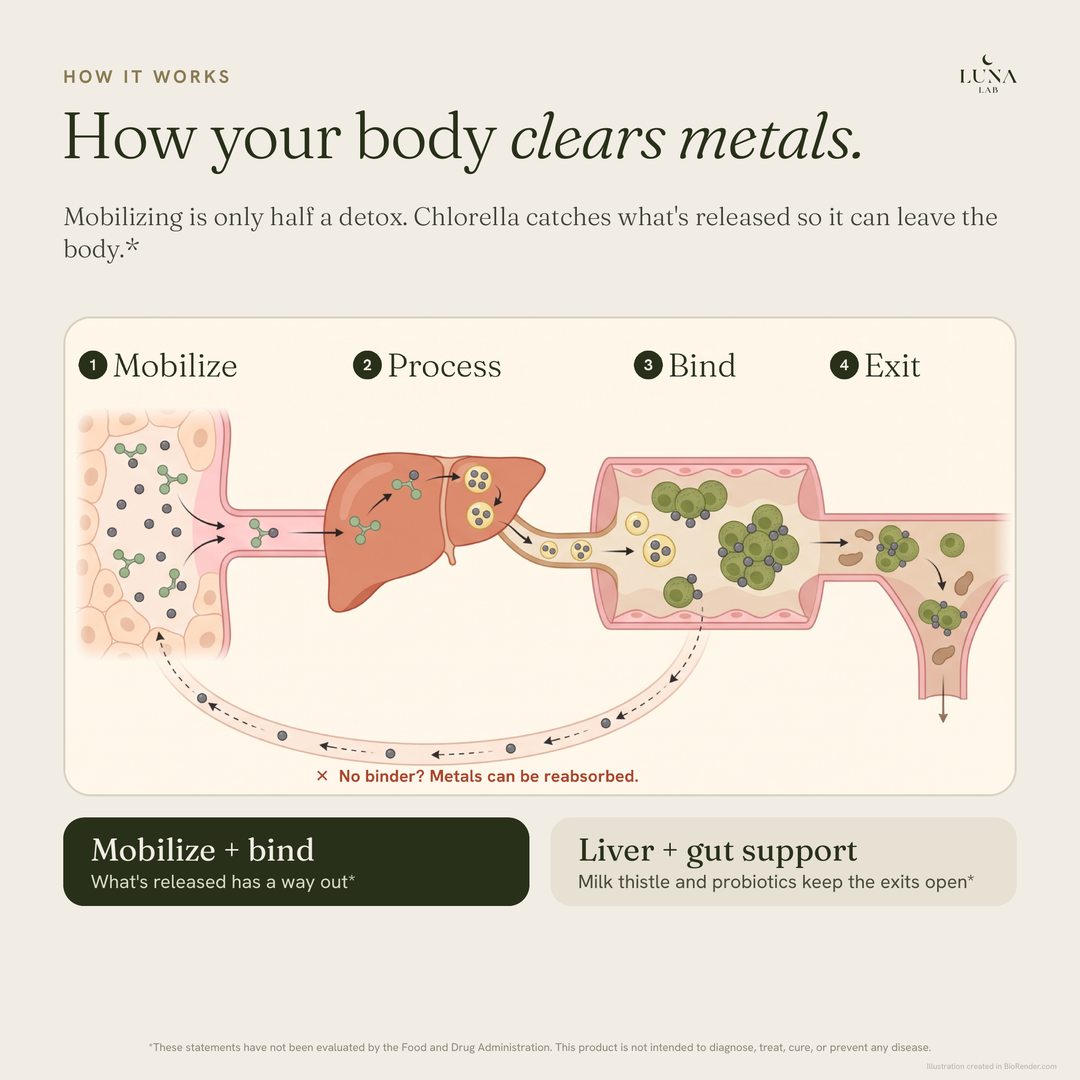 Complete Environmental Cleanse
