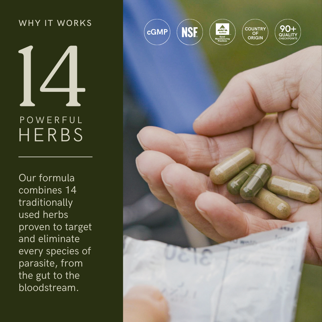 Herbal Cleanse Formula