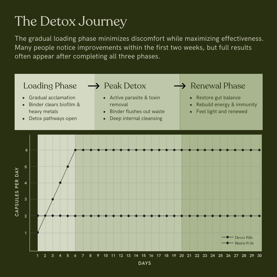 Herbal Cleanse Formula
