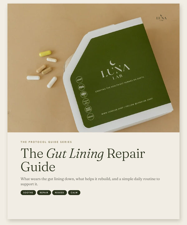 The Gut Lining Repair Guide cover