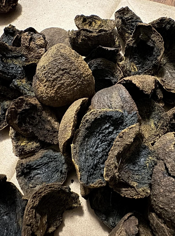 Black Walnut