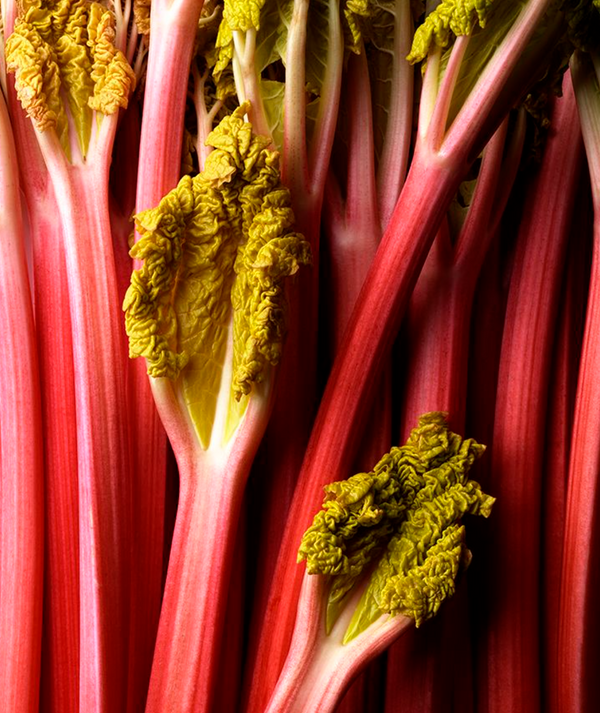 Rhubarb